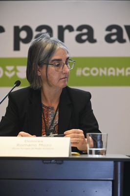 Dolores Romano Mozo